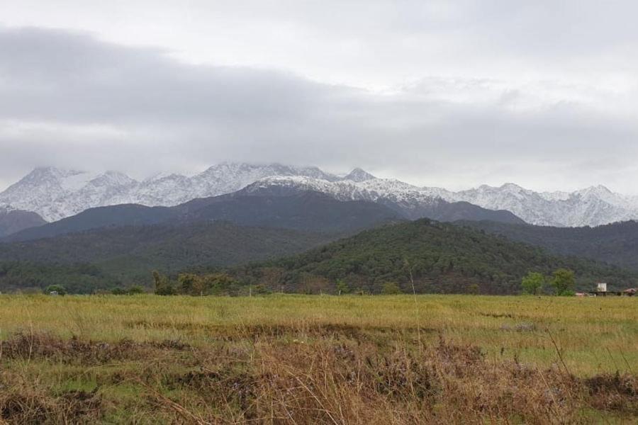 Nagri Resort Palampur Bagian luar foto