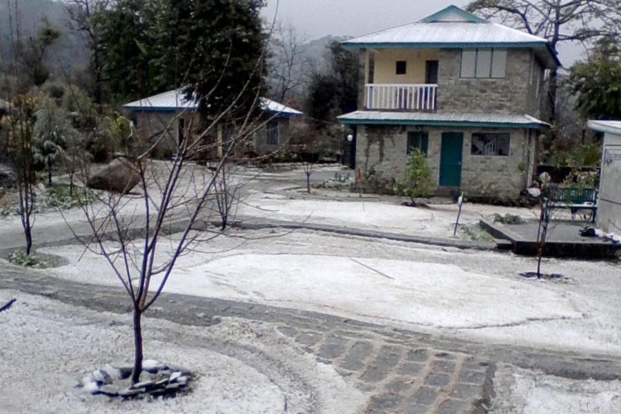 Nagri Resort Palampur Bagian luar foto