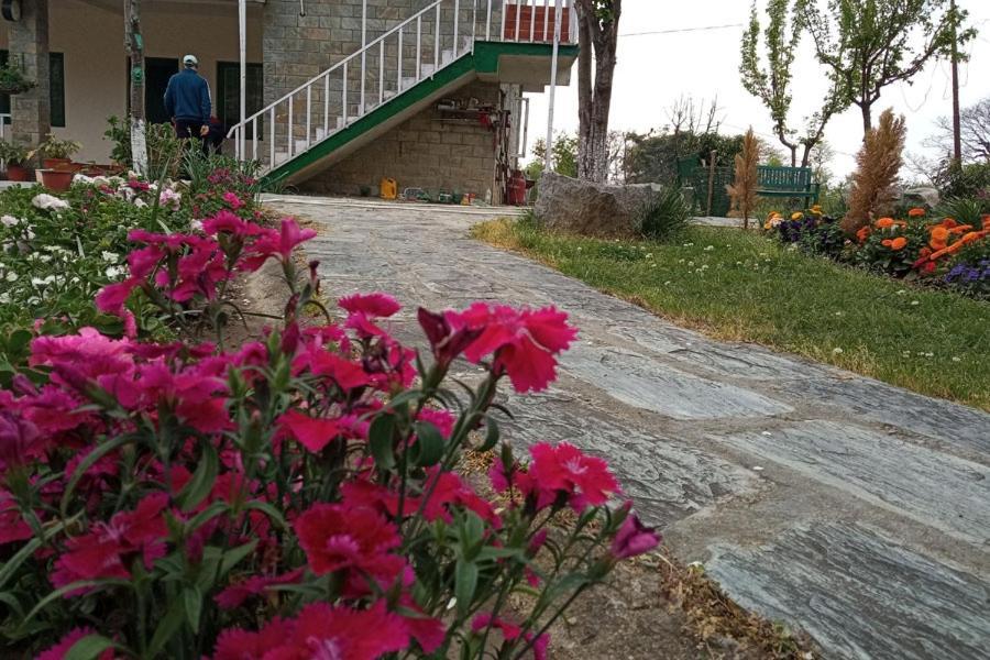 Nagri Resort Palampur Bagian luar foto