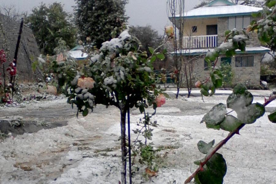 Nagri Resort Palampur Bagian luar foto