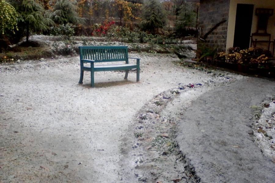 Nagri Resort Palampur Bagian luar foto