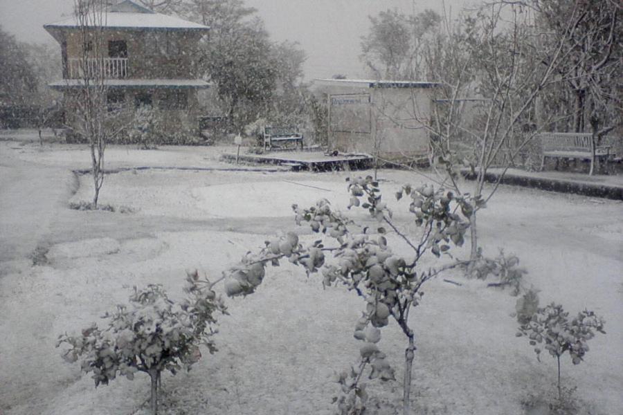 Nagri Resort Palampur Bagian luar foto