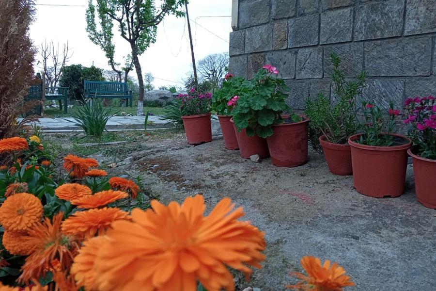 Nagri Resort Palampur Bagian luar foto