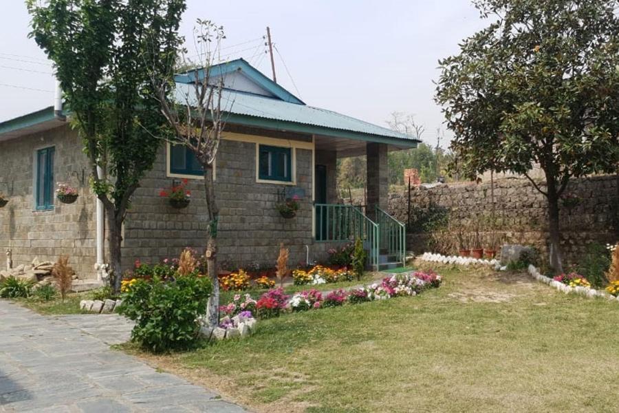 Nagri Resort Palampur Bagian luar foto